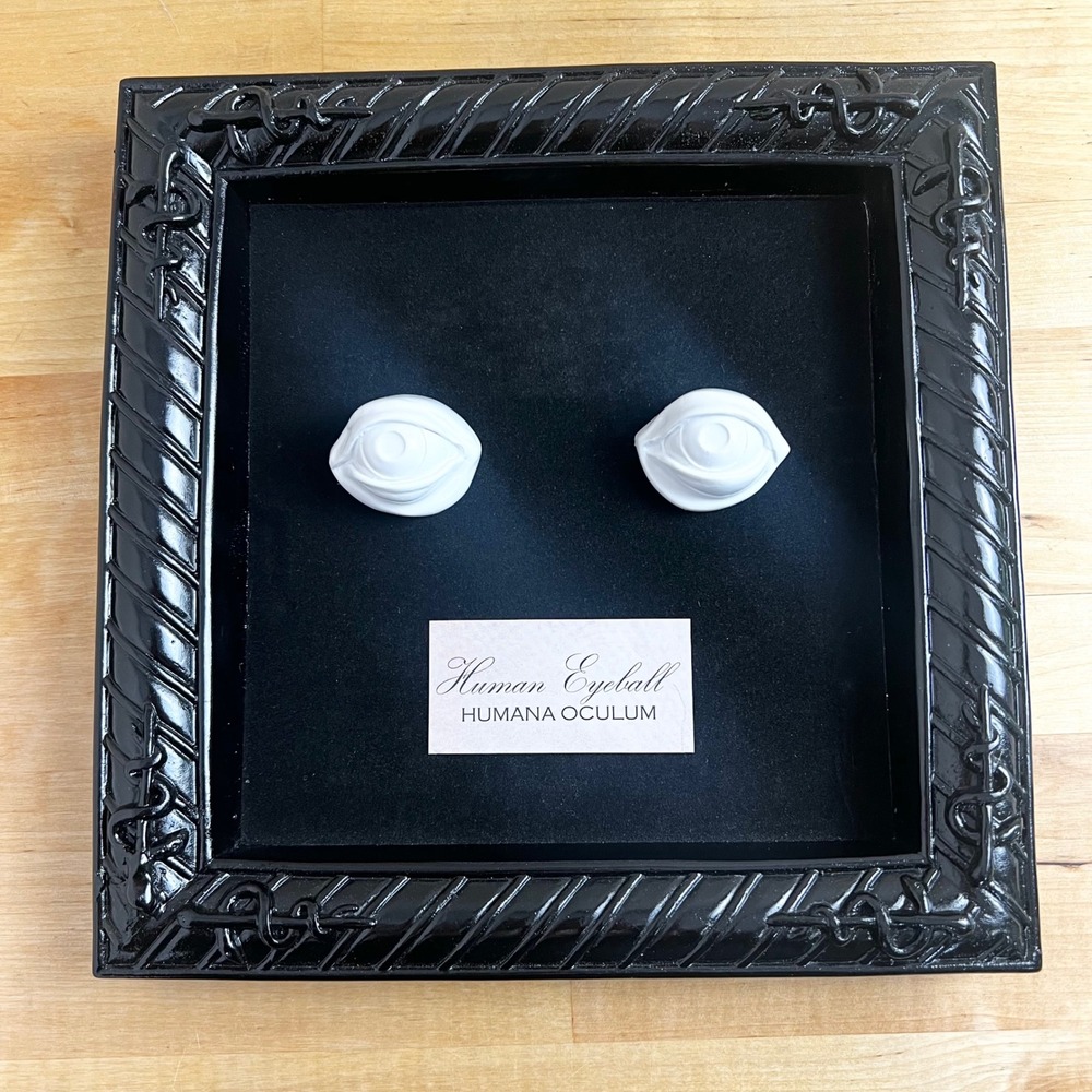 Metal Framed Human Eyeball Lab Specimen Halloween Square Wall Decor‎ Seasons USA